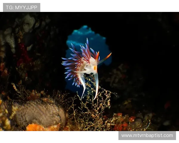 公海赌船娱乐:探索无限精彩的海上博彩体验与娱乐盛宴 公海赌船娱乐:探索无限精彩的海上博彩体验与娱乐盛宴